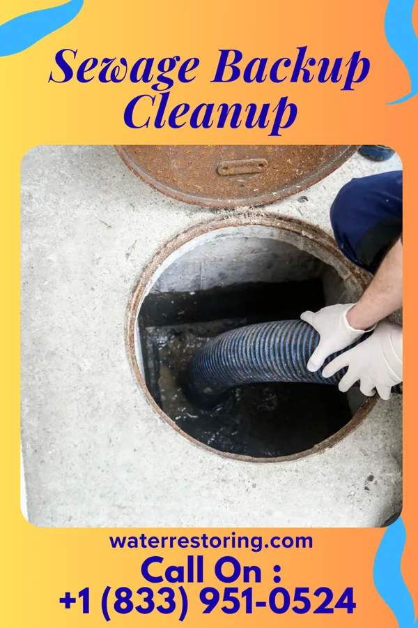 Sewage Backup Cleanup in Shelbyville, IN